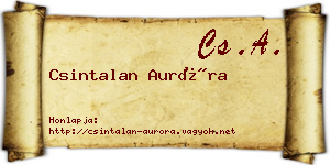 Csintalan Auróra névjegykártya